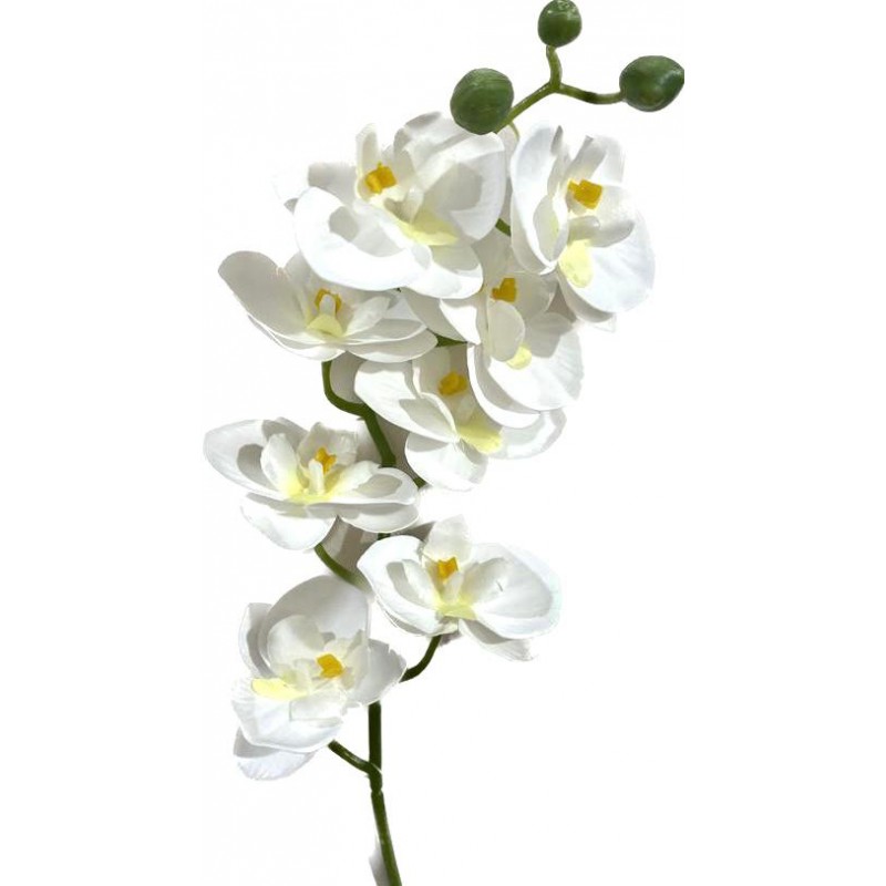 Mini orquidea X8 Blanca...