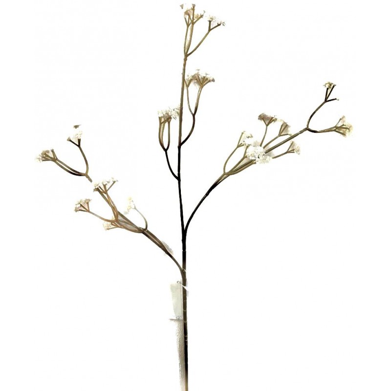 Paniculata goma marfil 63cms