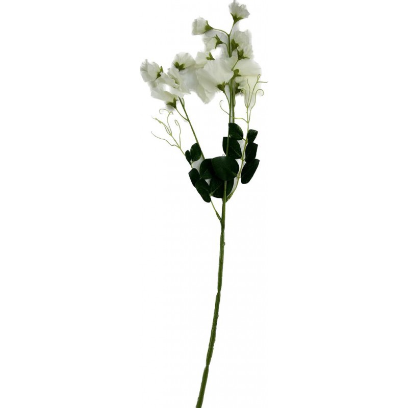 Flor de la judia coral/blanca